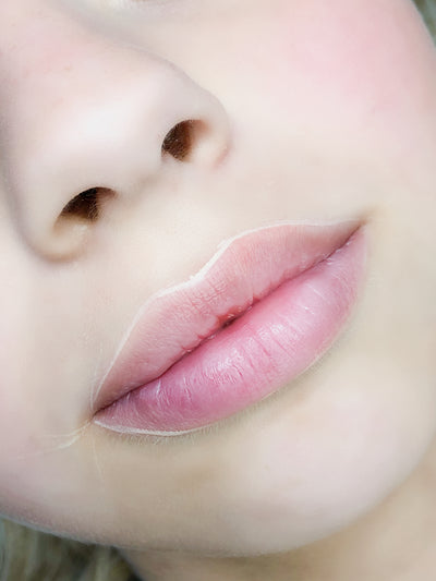 LIP ARCHITECTURE,  MAPPING & PREDRAW TECHNIQUES