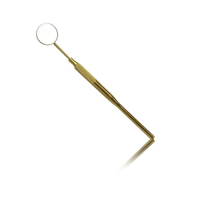 Lash Mirror
