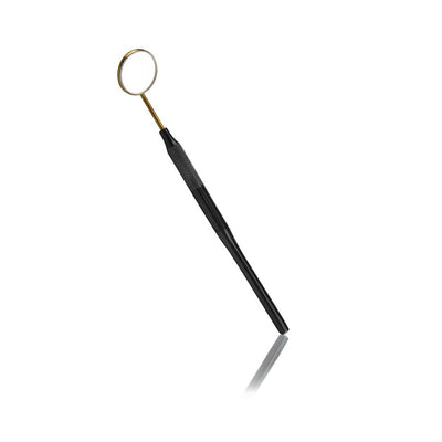 Lash Mirror