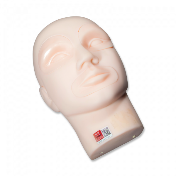 Practice PMU Mannequin Head for Inserts