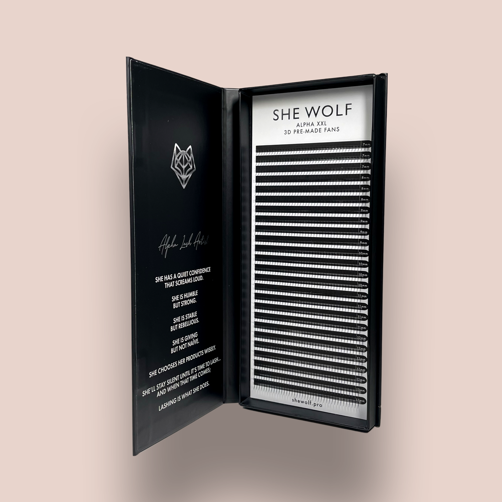 3D PREMADE FANS 0.07 - 1000 FANS