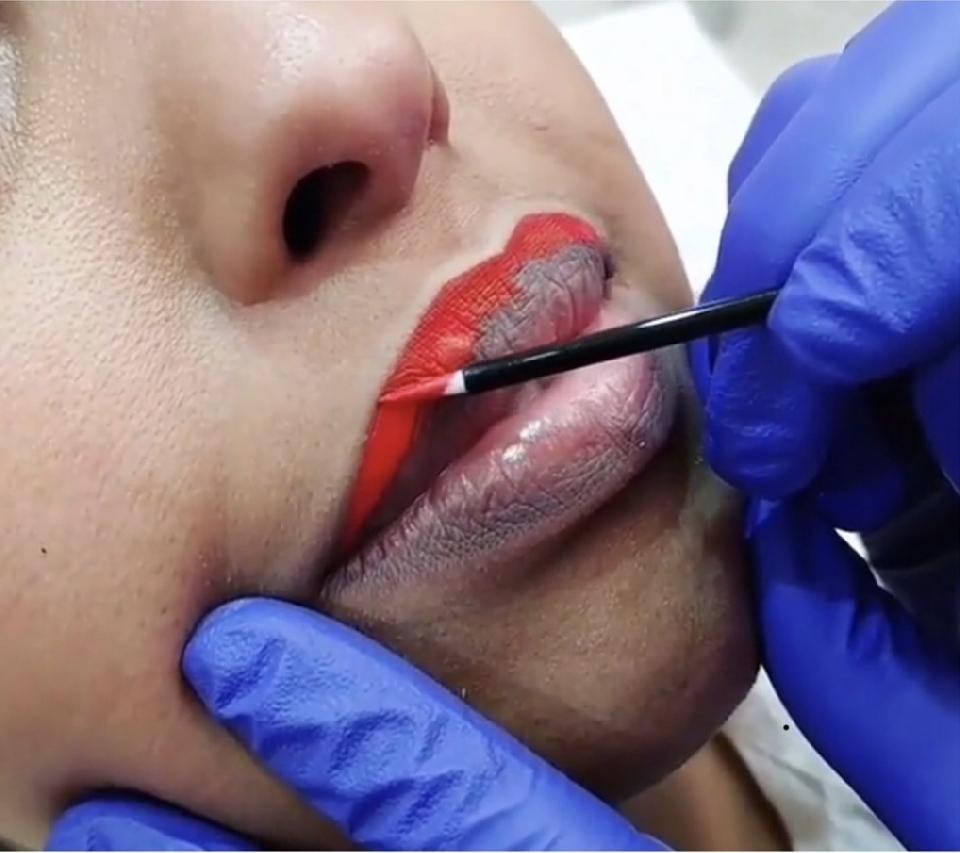 VIP 1:1 BASIC/ BEGINNER SPMU LIP PIGMENTATION